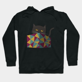 Cat Play Hoodie